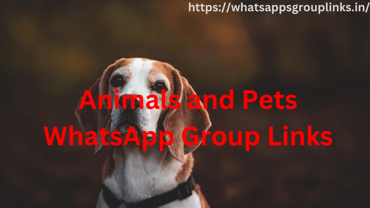 Animals and Pets WhatsApp Group Links