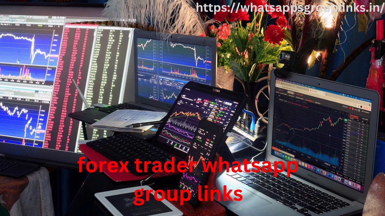 forex trader whatsapp group links